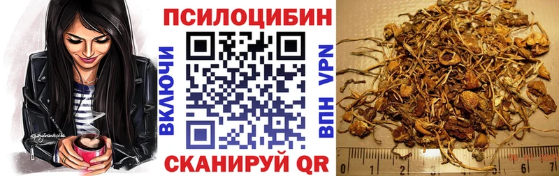 мориарти официальный сайт Лысково Псилоцибиновые грибы MAGIC MUSHROOMS